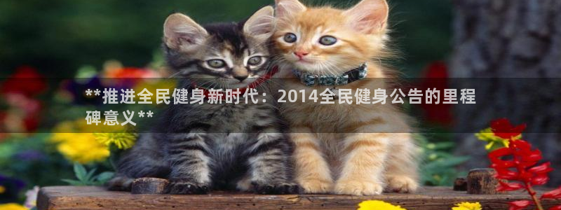 凯时国际平台有人赢吗：**推进全民健身新时代：2014全