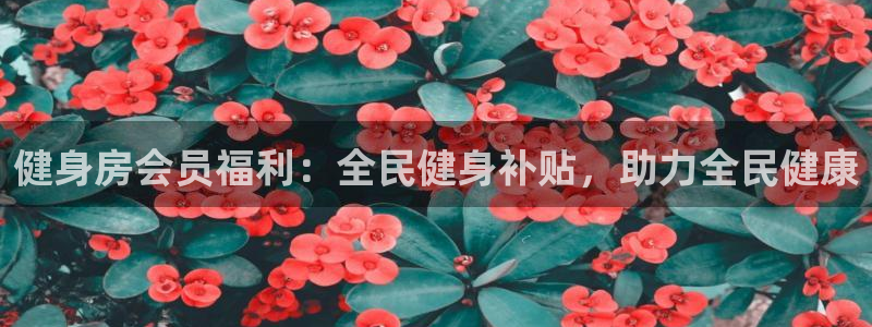 尊龙凯时取款不成功：健身房会员福利：全民健身补贴，助力全